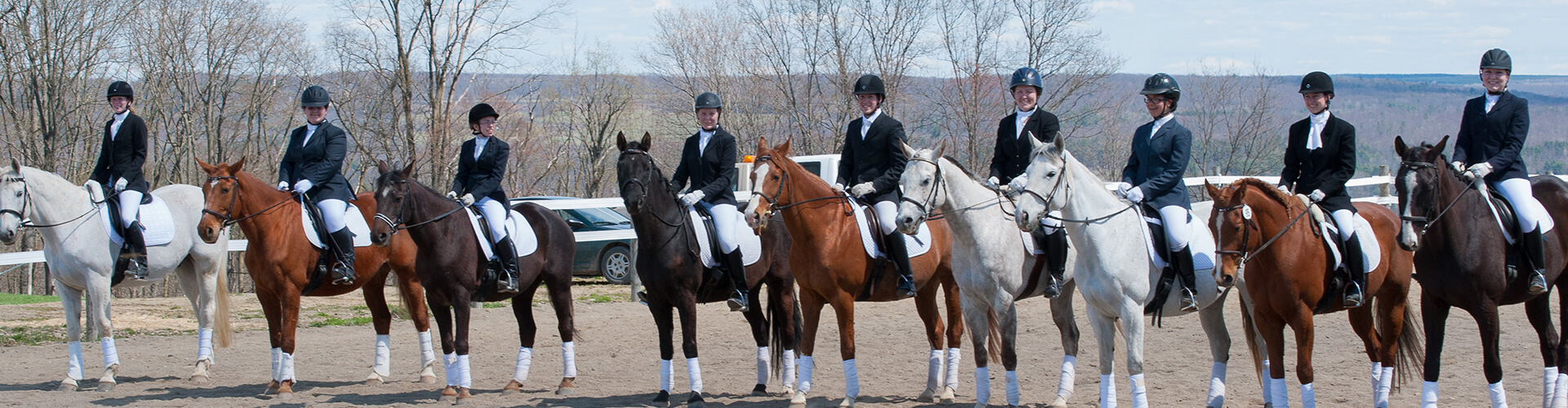 Equestrian Studies Major