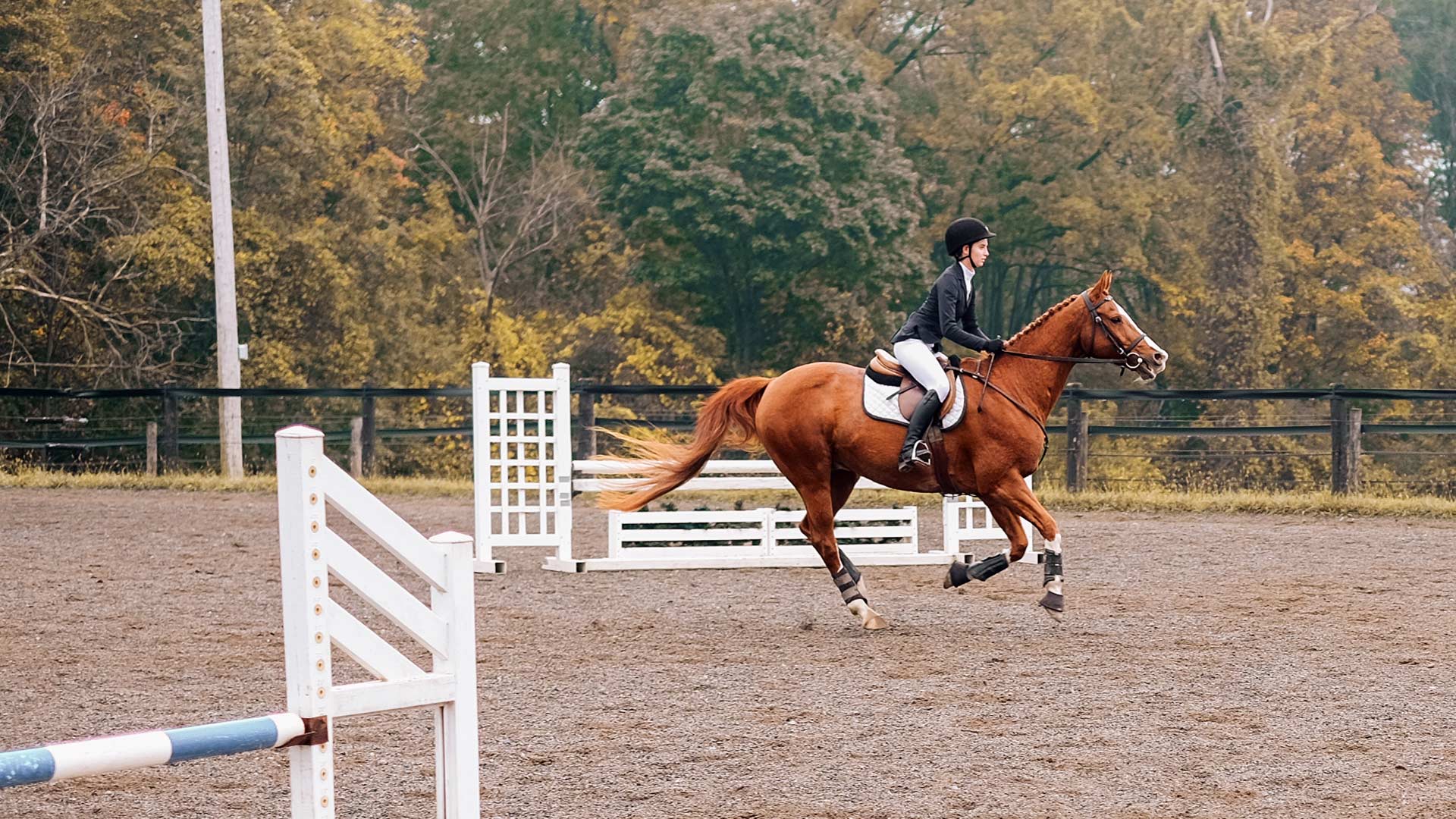 Spring Hunter Jumper Schooling Show Houghton University