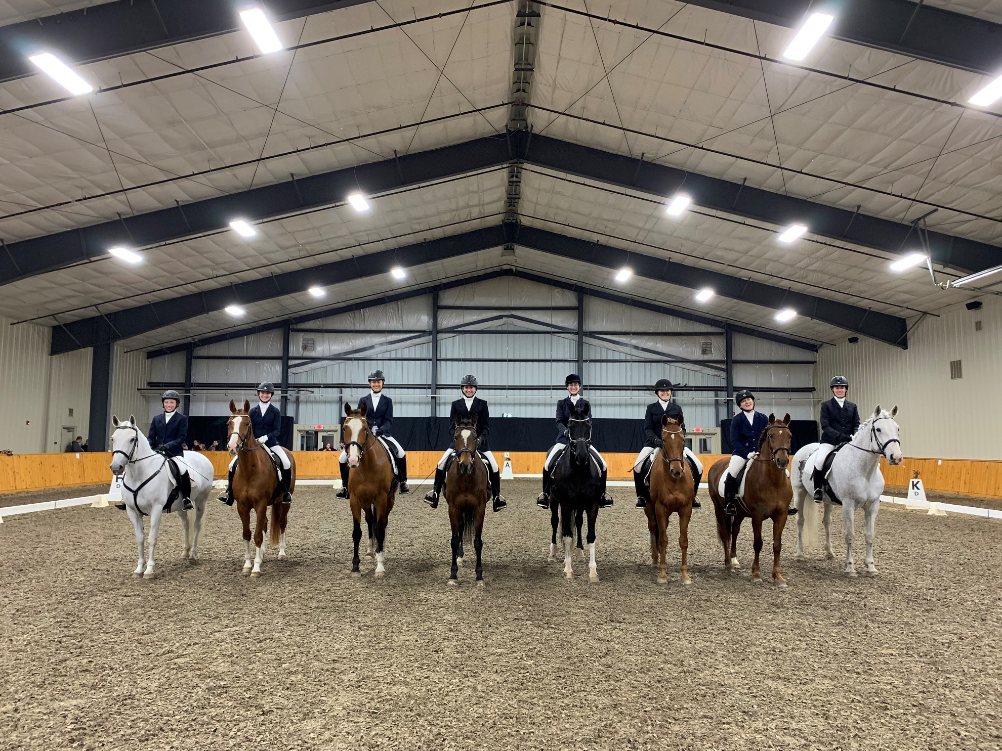Equestrian Studies Houghton University