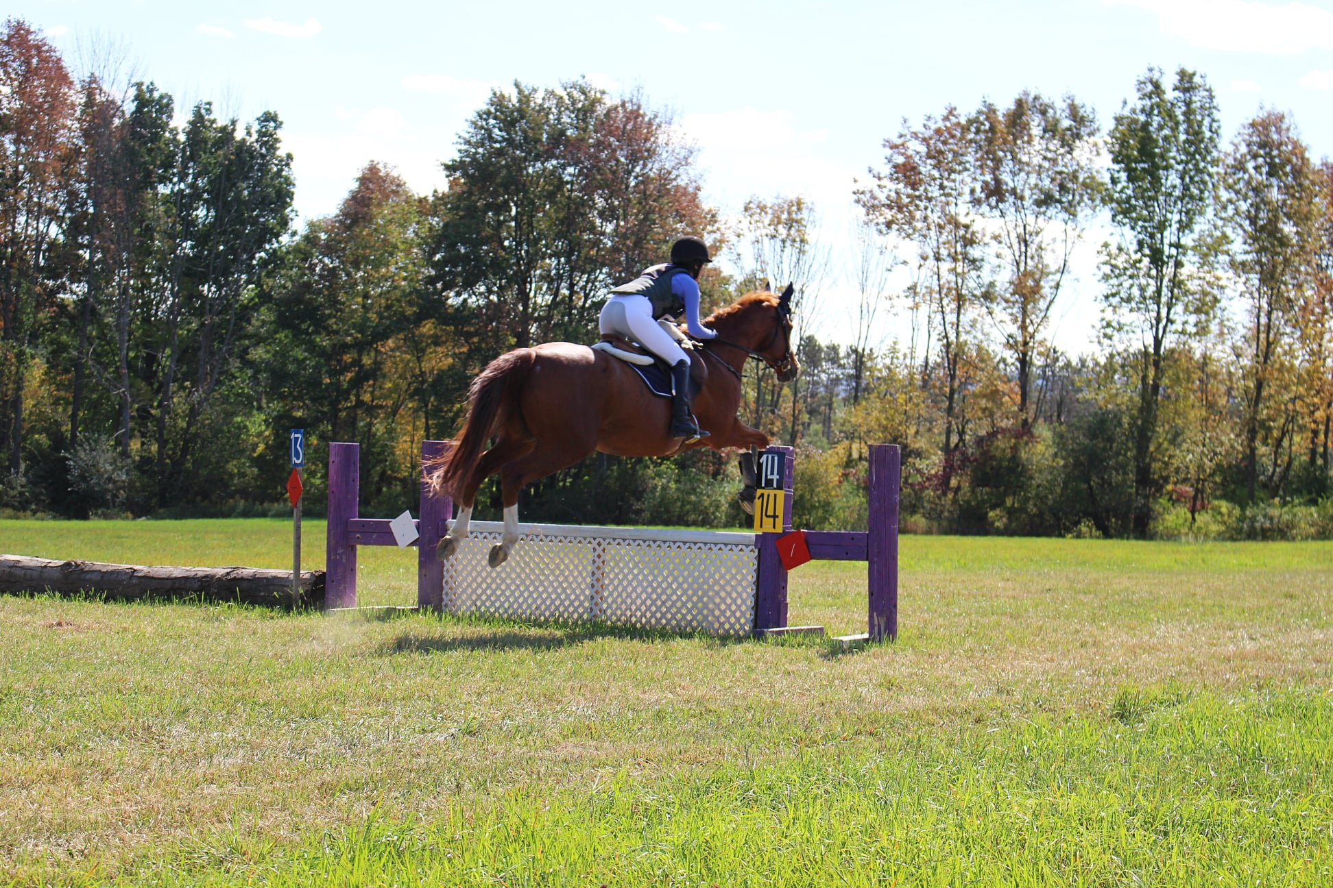 Horse Trial, Combined Test, and Dressage Show Houghton University