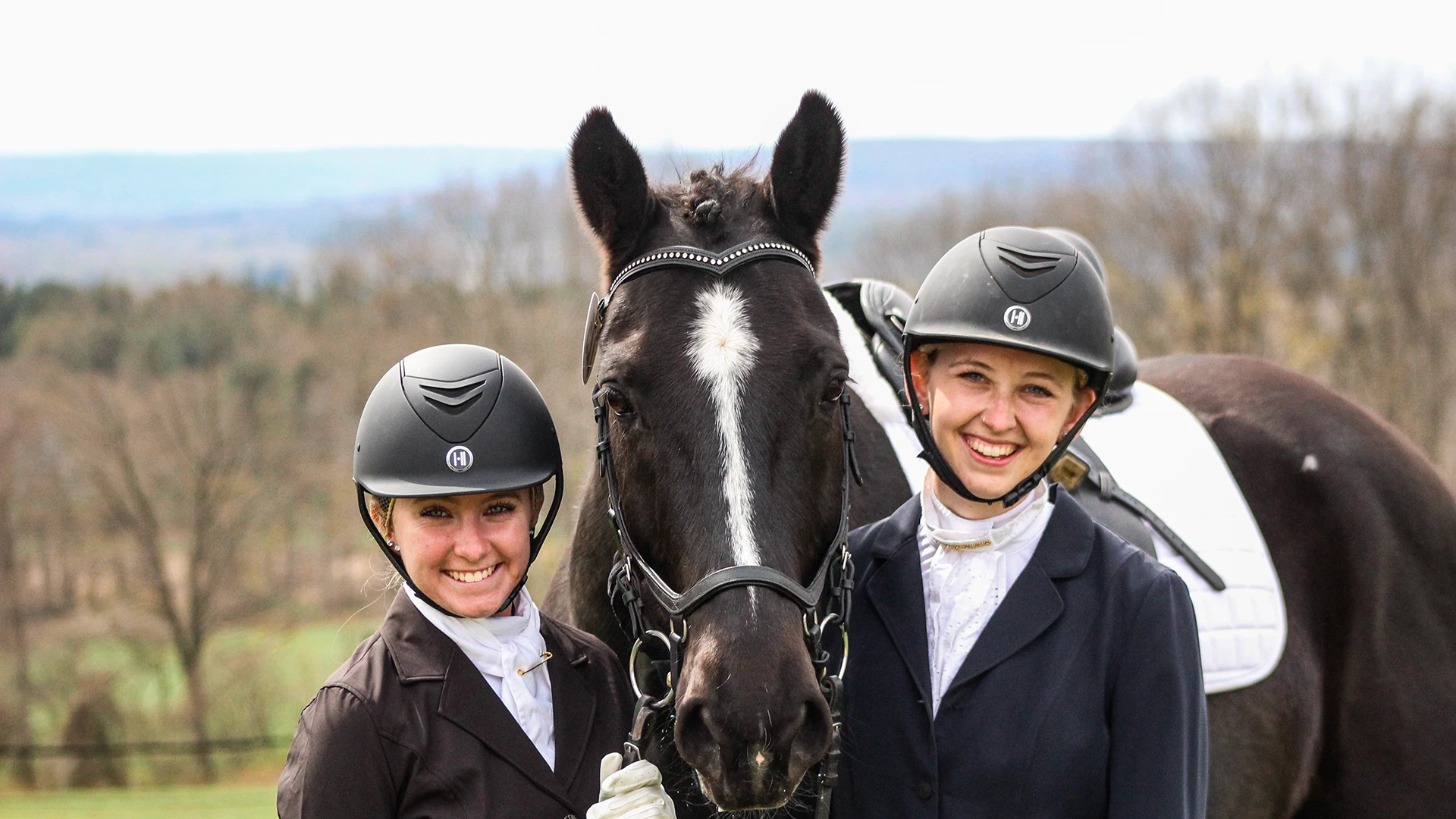 Equestrian Studies FAQ Houghton University