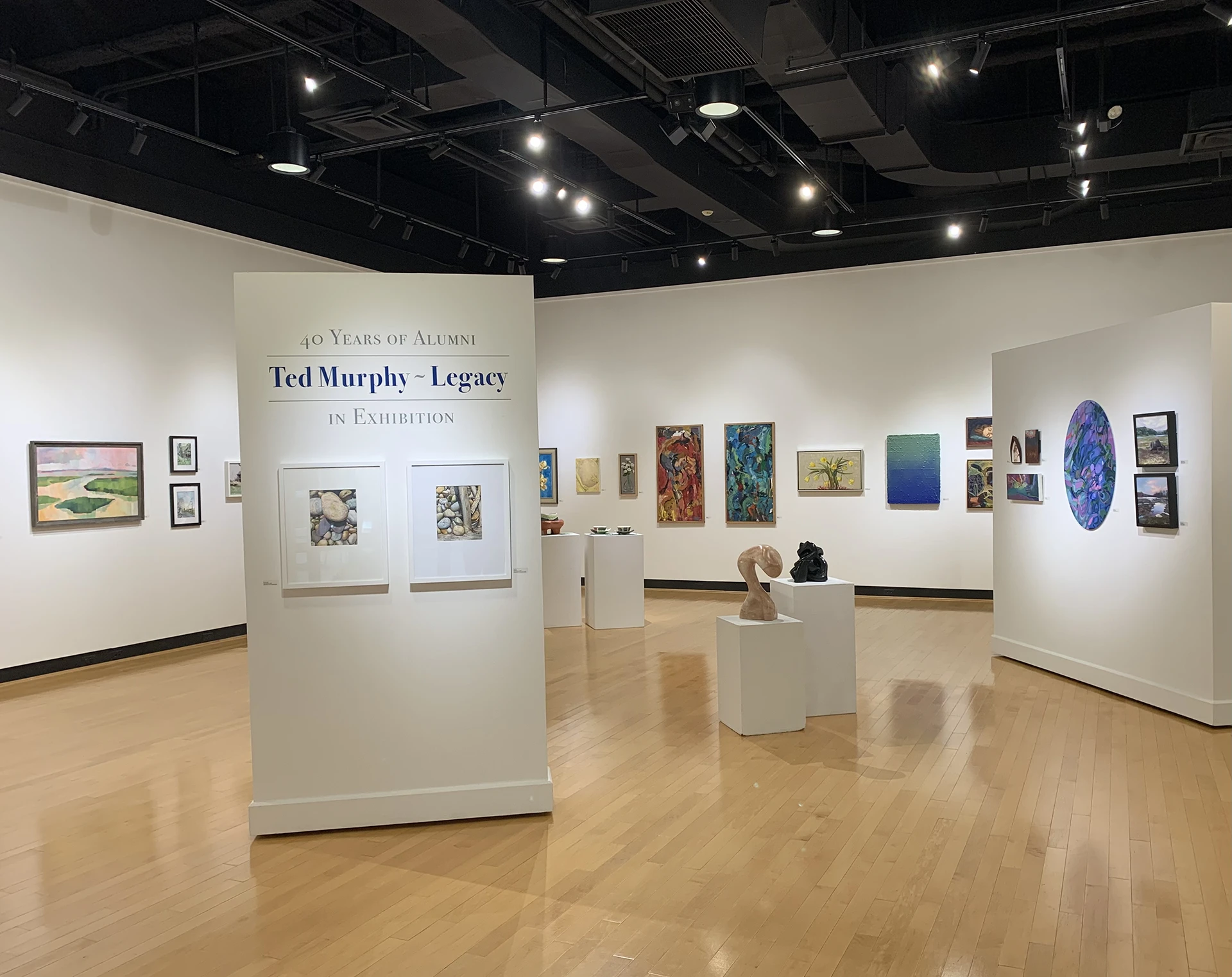Gallery view of the Ted Murphy Exhibition at the Ortlip Gallery at Houghton University.