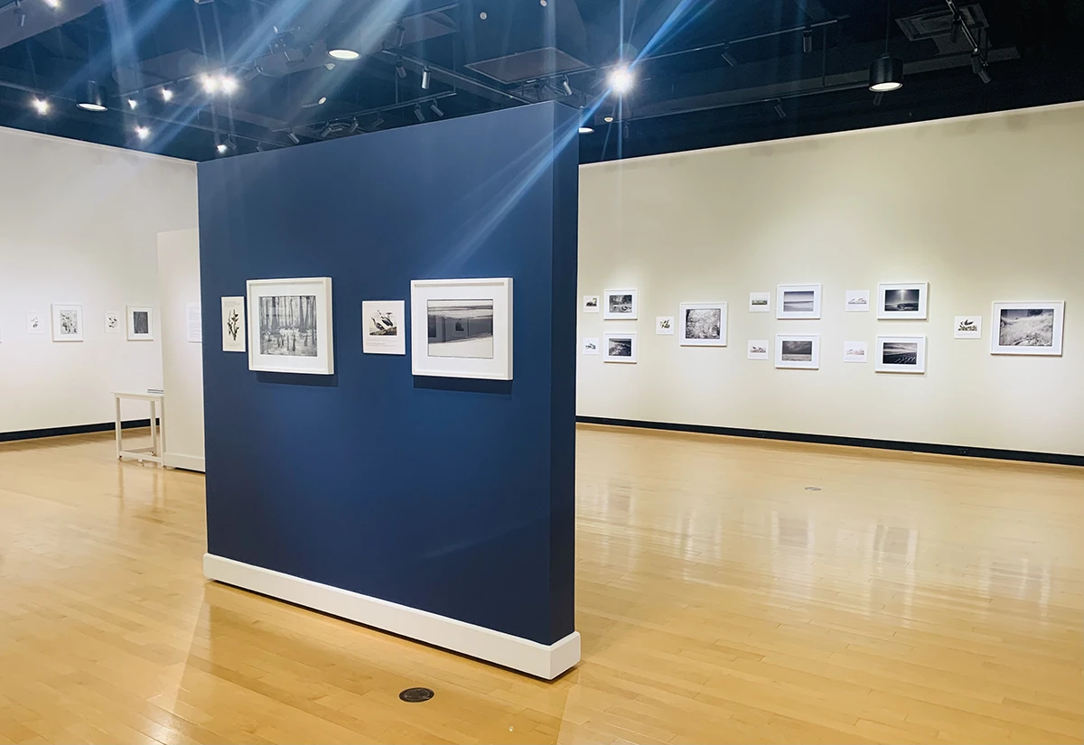 Exhibition view of Ian Campbell's After Birds in the Houghton University Ortlip Gallery.